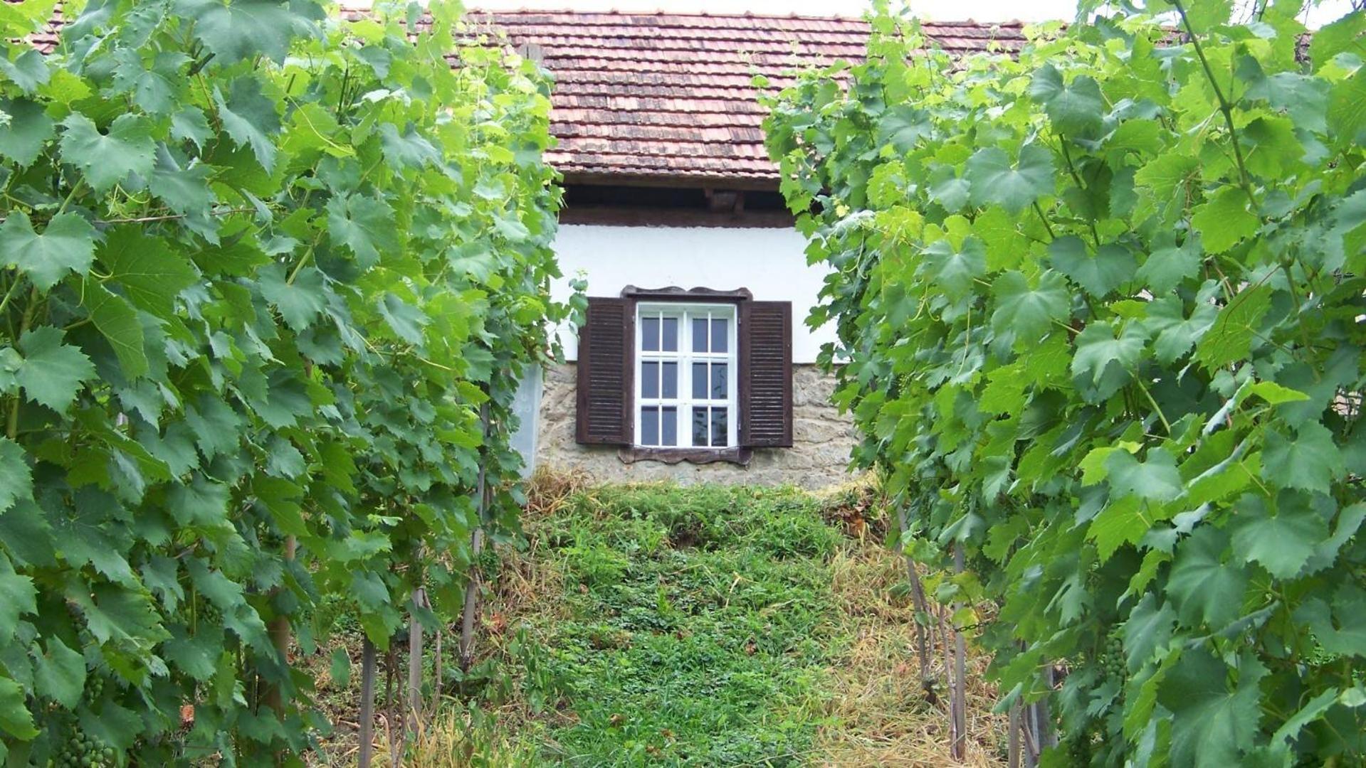 Apartment Liendl Riegersburg Kültér fotó